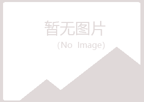 海南冰夏音乐有限公司